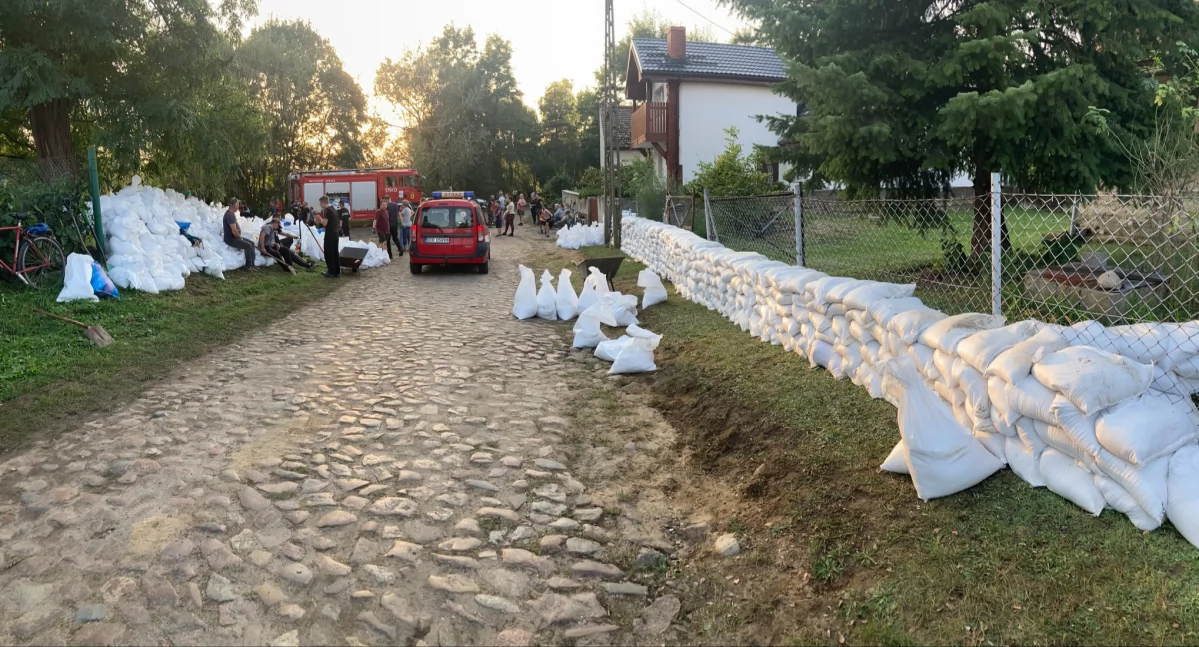 Alarm przeciwpowodziowy. Czy wały na Odrze wytrzymają? Mieszkańcy pomagają układać worki