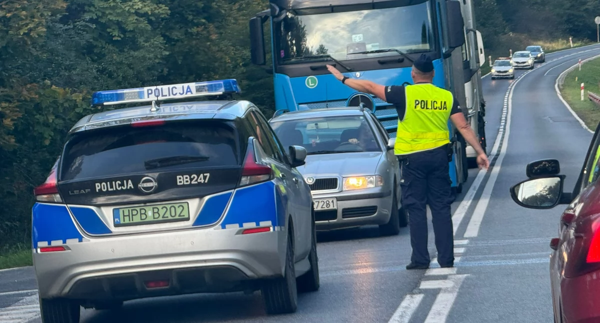 Czołowe zderzenie za Skoroszowem. Są utrudnienia w ruchu drogowym