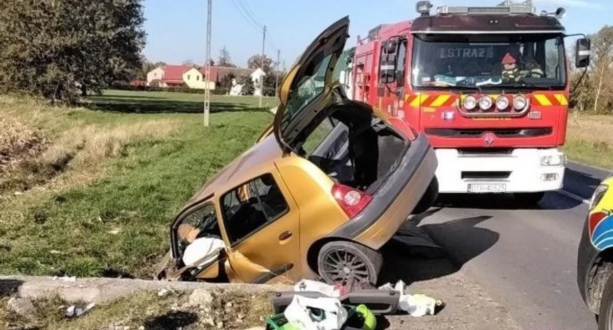 Renault znalazło się w przydrożnym rowie