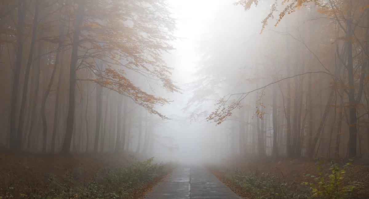 Ostrzeżenie meteorologiczne: Gęste mgły w regionie