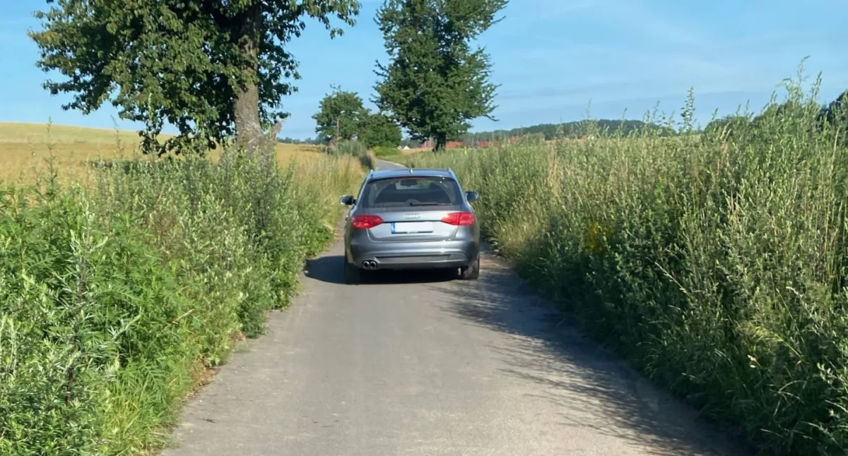Dzieci na drodze i pędzące samochody