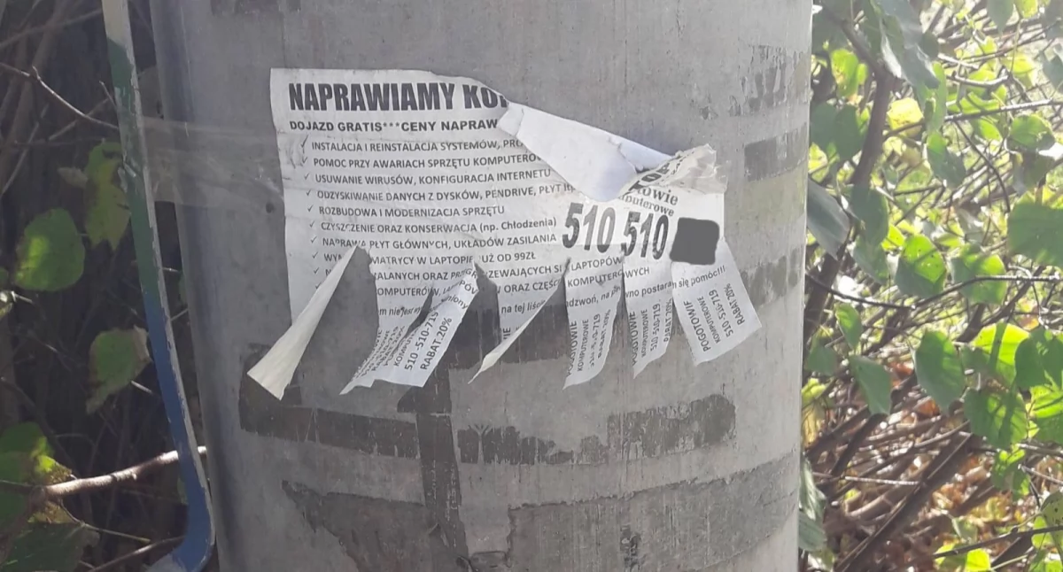 Są na każdym słupie, słupku. Kto rozkleja te ogłoszenia?
