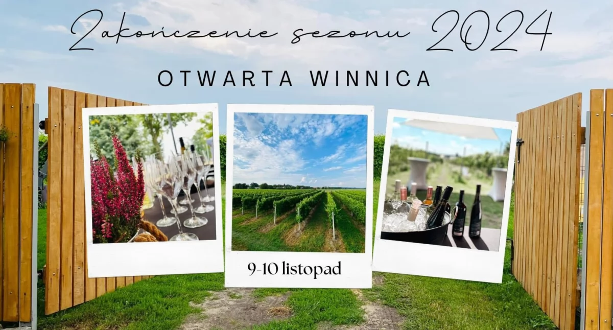 Degustacja win w Winnicy Zakrzewo