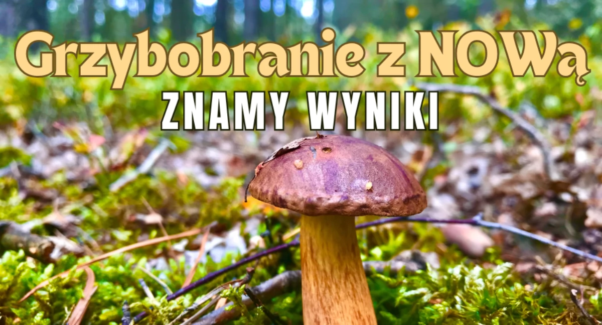 Grzybobranie z NOWą - znamy zwycięzców!