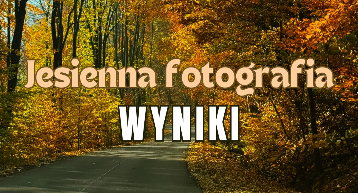Wyniki foto-zabawy na jesienne zdjęcie - kto zdobył nagrody?
