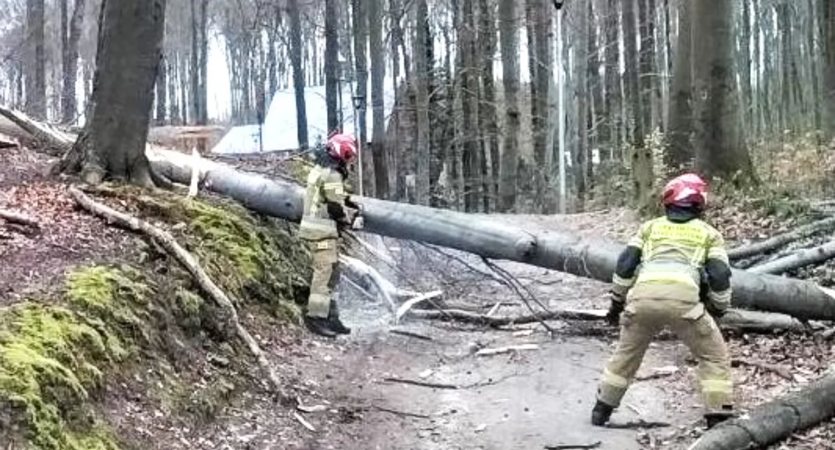 Woda, ogień, wiatr... To był rekordowy rok dla strażaków