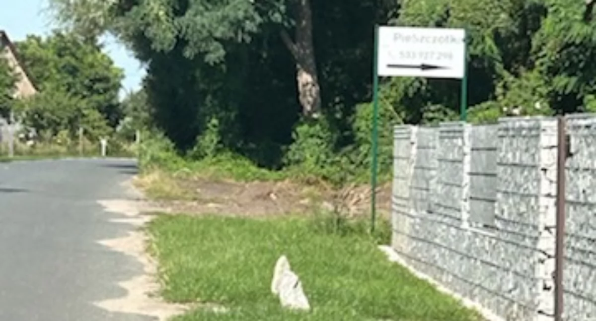 Sąsiedztwo jest kłopotliwe. Dlaczego urzędnicy nie uwzględniają skarg?