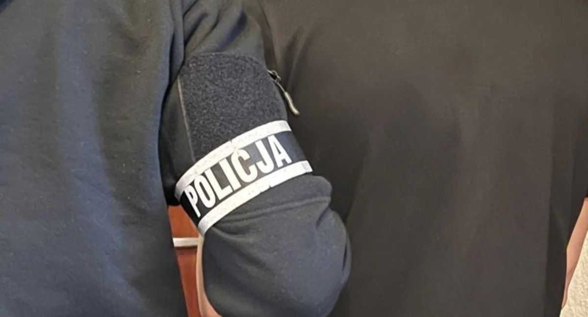 9 przestępstw: kradzieże, groźby, uszkodzenie mienia