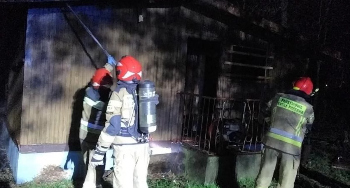 Pięć zastępów gasiło pożar domku letniskowego