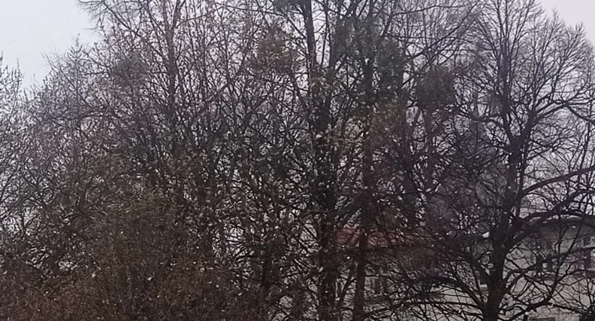 Kwiecień - plecień, więc znów zimno. Czy Wielkanoc będzie wiosenna? 