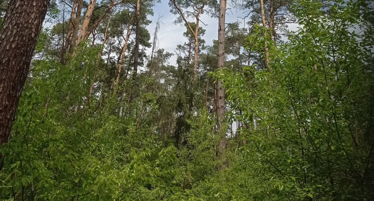 Audyt krajobrazowy. Lokalne organizacje społeczne złożyły wnioski do projektu