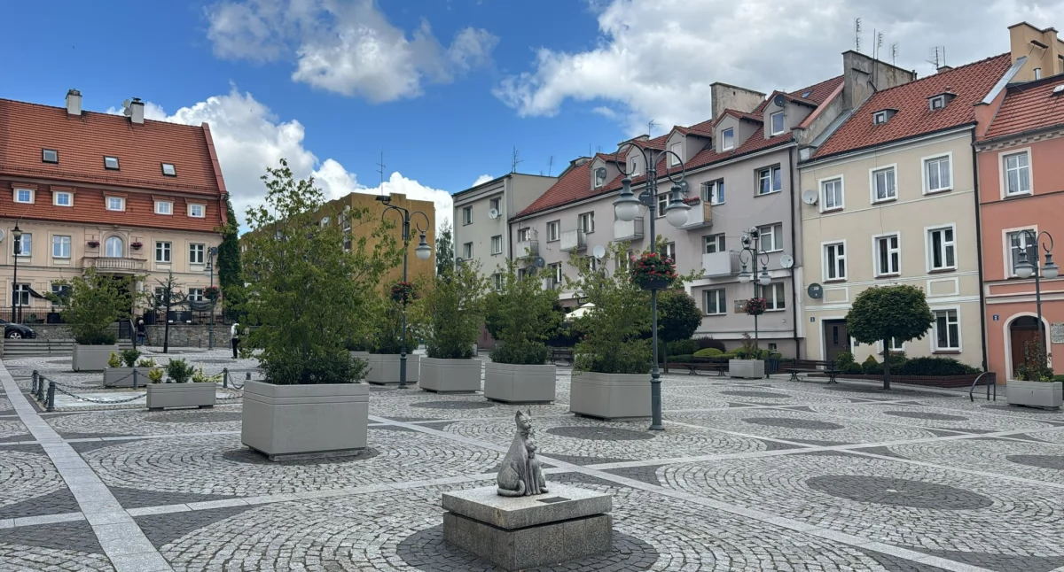 Efekt motyla - betonoza, Trzebnica i globalny klimat