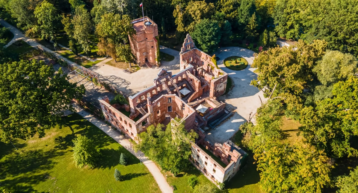 XI Krajowa Wystawa Owczarków Niemieckich już w lipcu w Żmigrodzie