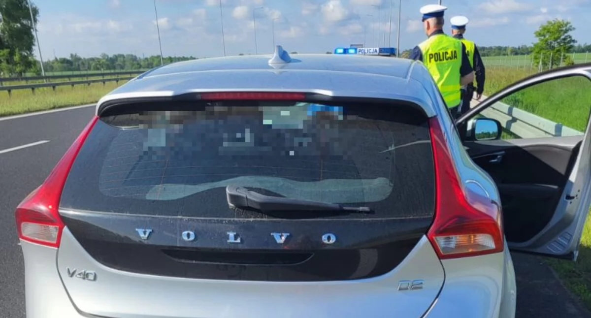Groźna sytuacja na ekspresówce. Kierowca ledwo zjechał na pas awaryjny