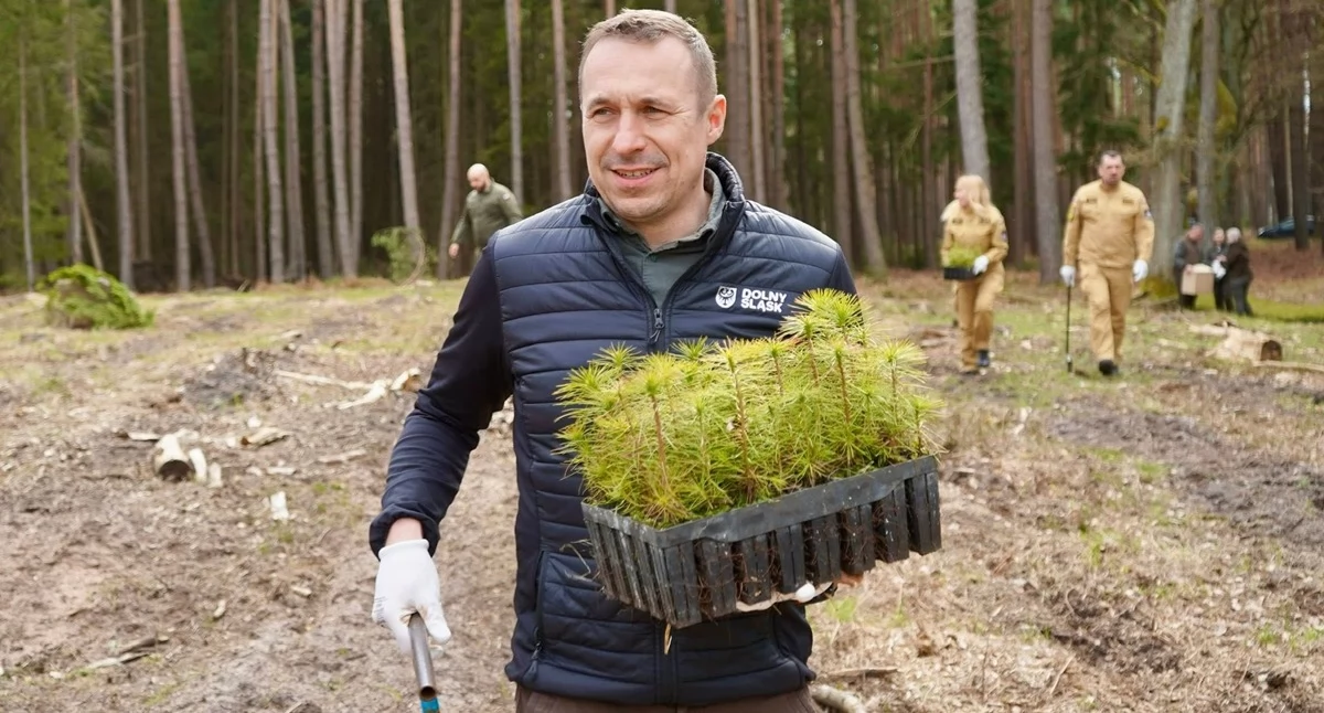 Pszczoły pod ochroną regionu. Milion złotych dla pszczelarzy