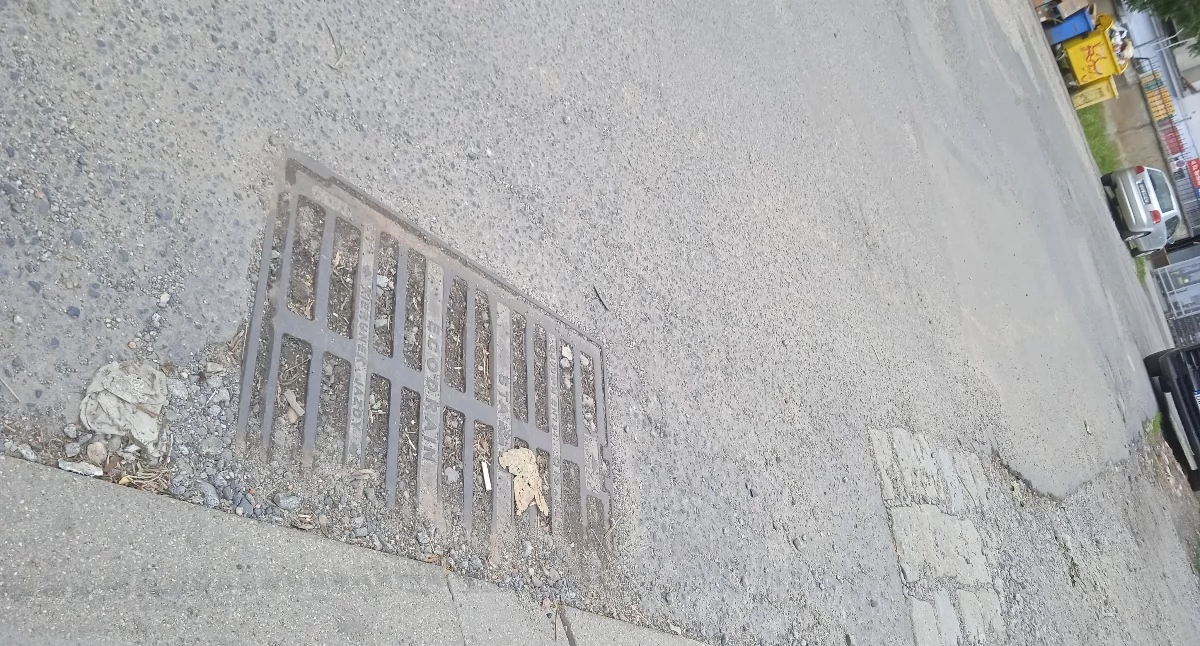 Zapchane studzienki przy ulicy Bochenka