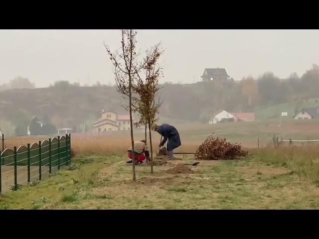 Było ściernisko, będzie... park? [FILM]