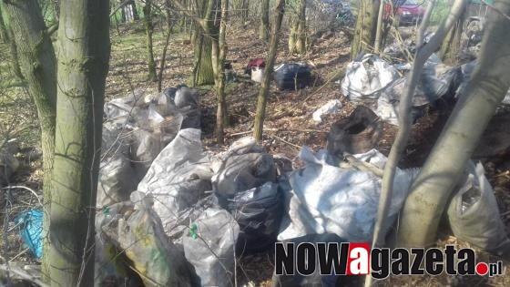 Zamiast jagód i grzybów: lodówki, pralki i butelki