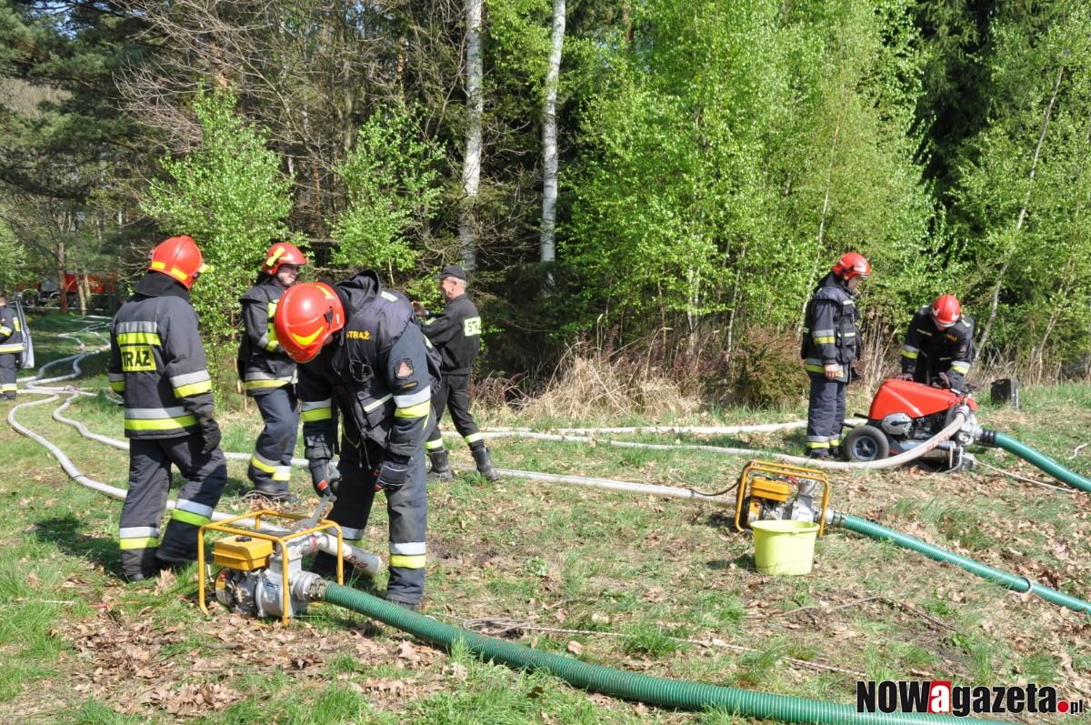 Spłonęło 1,5 hektara poszycia lasu