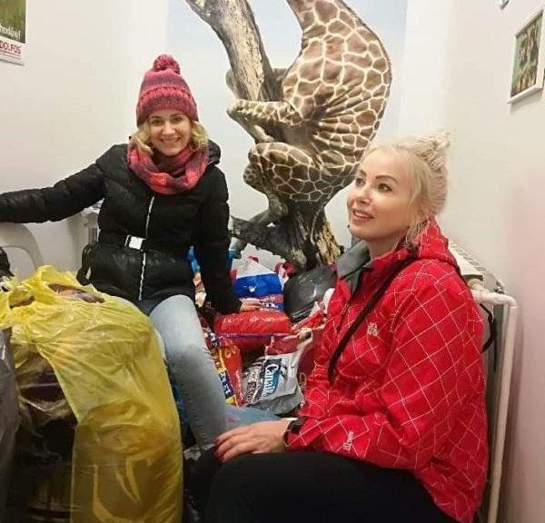 Wolontariusze pomagają zwierzakom