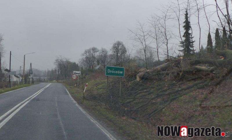 Dlaczego rżną przy drodze?