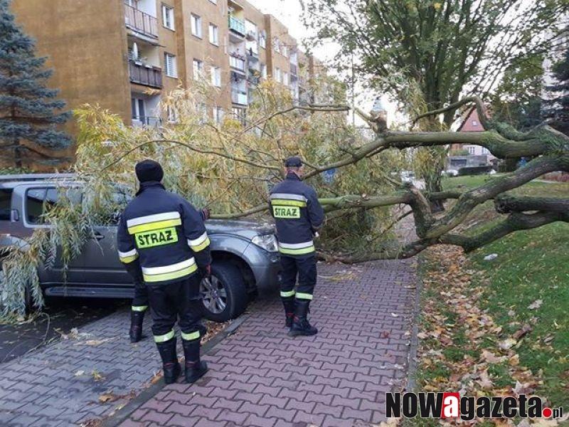 Mocno wiało. Łamało gałęzie, wyrywało drzewa