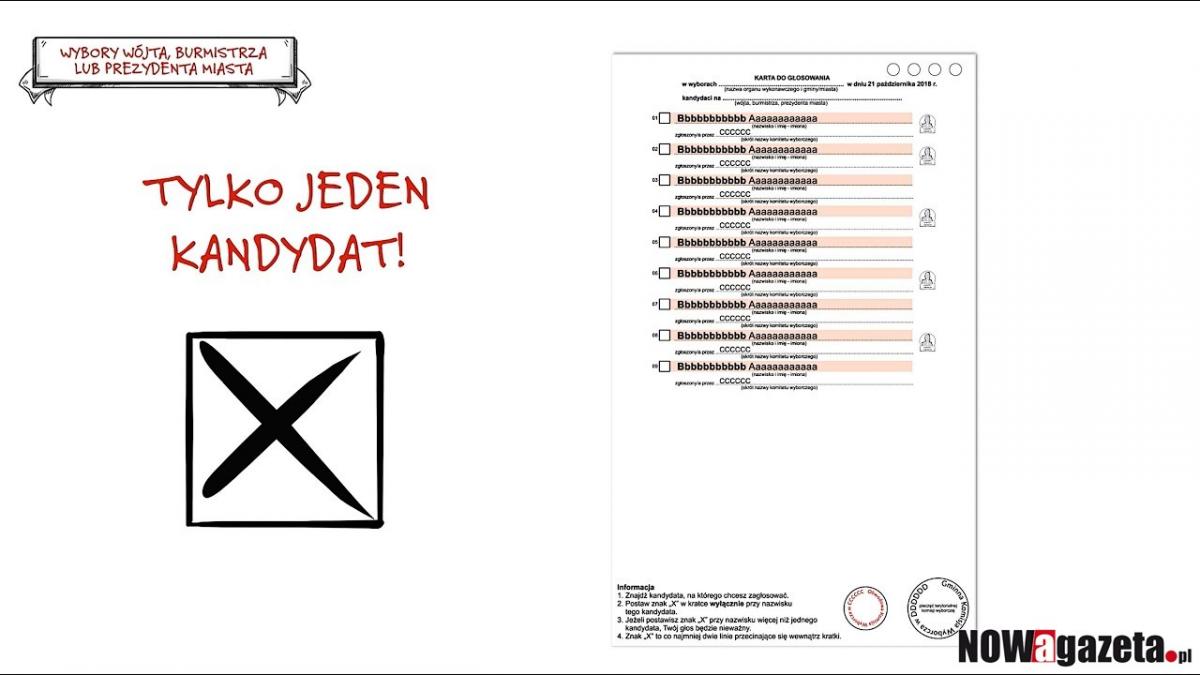 Zasady głosowania. Co warto wiedzieć, by oddany głos był ważny? [FILM]