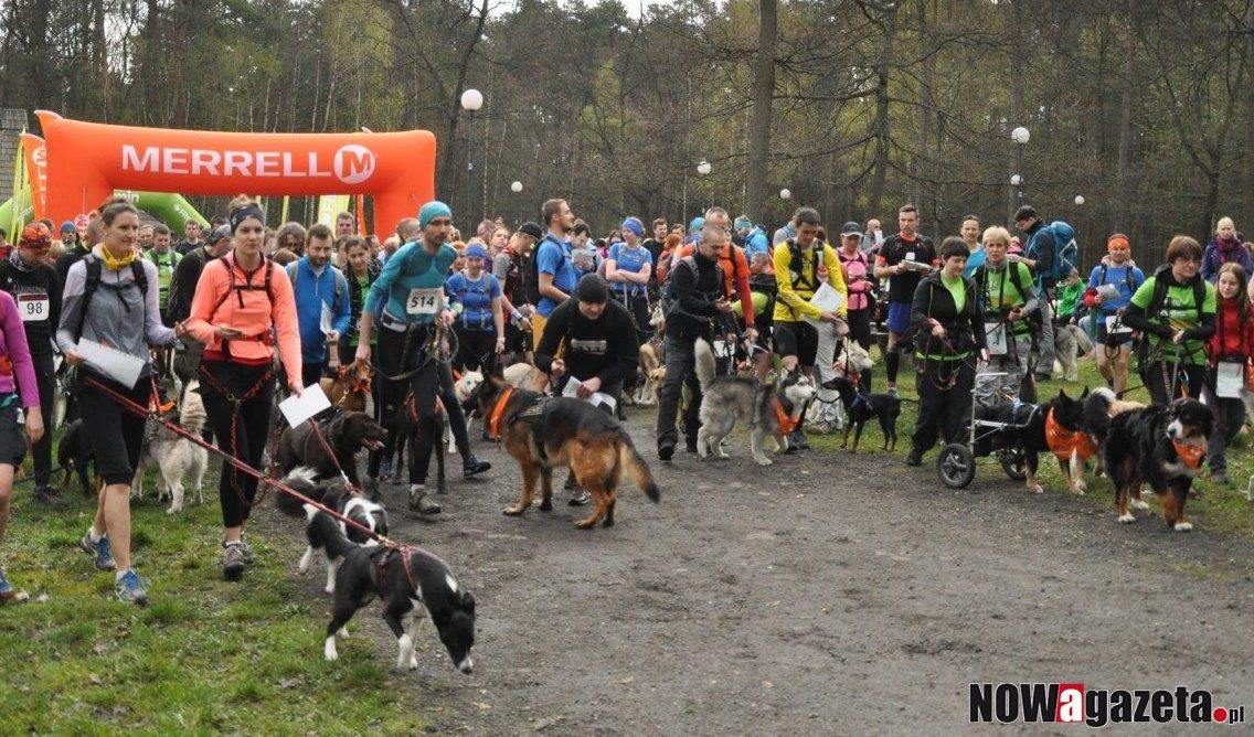 Psi trekking już w najbliższą sobotę - 8 września