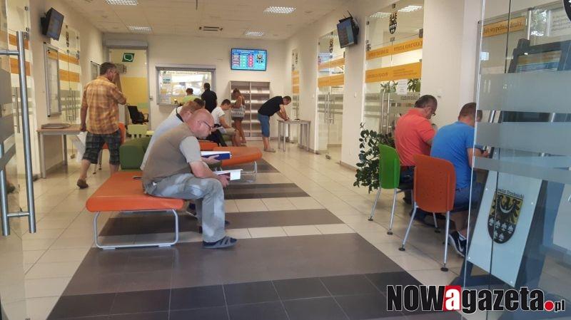 Jak uniknąć kolejek przy rejestracji auta?