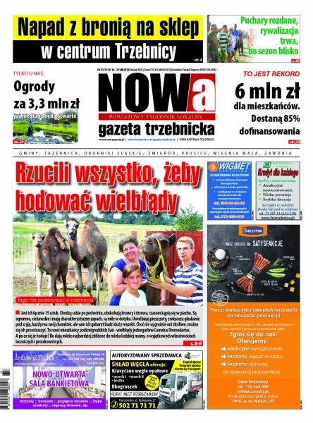 Przegląd wydania nr 33