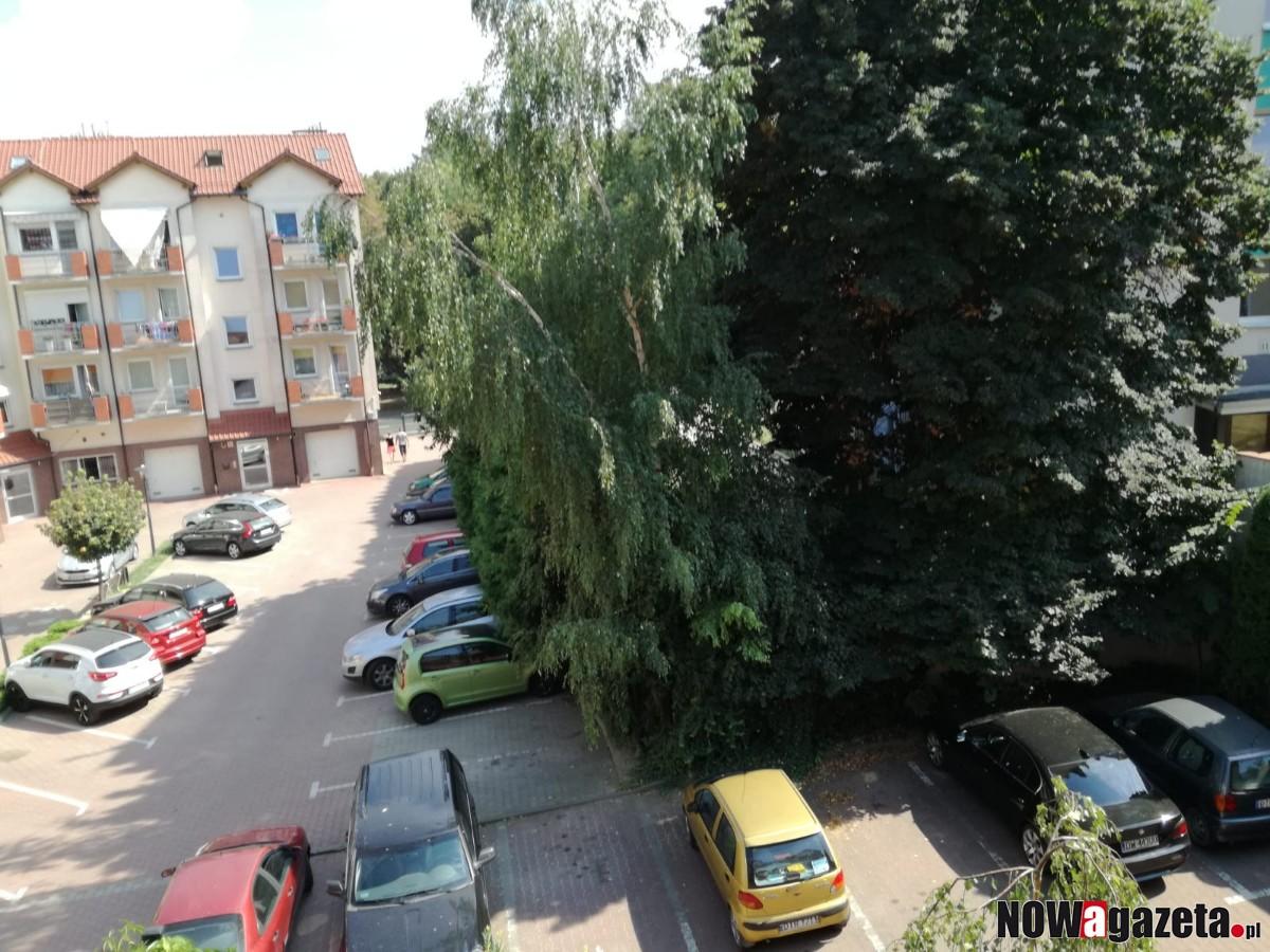 Napad z bronią na sklep w centrum Trzebnicy