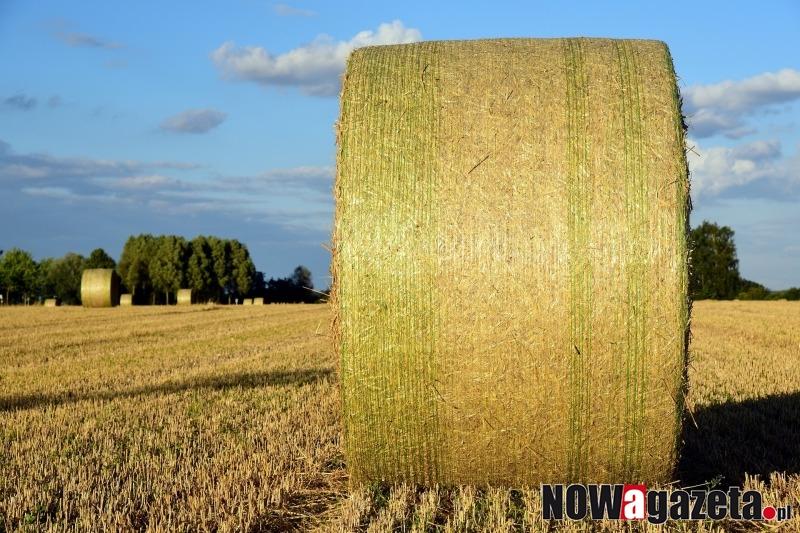 Ktoś podpalił słomę na drodze