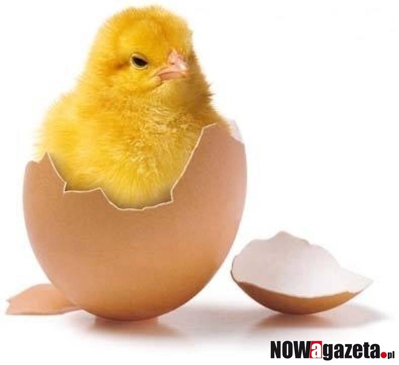 Jaka będzie pogoda na święta?