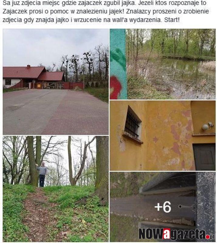 Poszukaj jajeczek od Zajączka. Sprawdź szczegóły