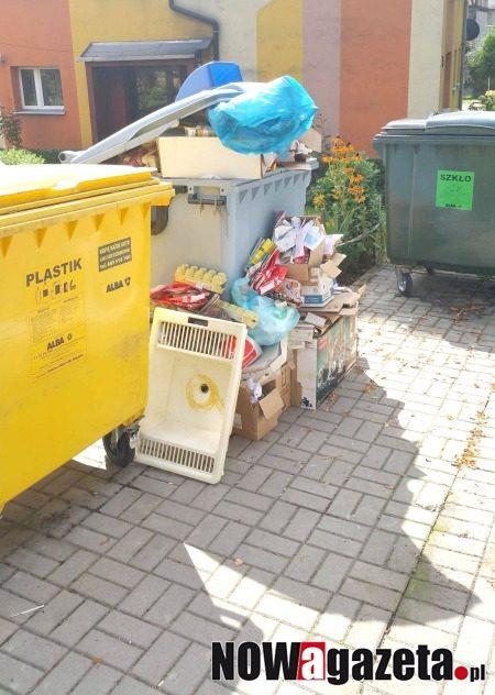 Utoniemy w śmieciach? Niepokojące wyniki badań