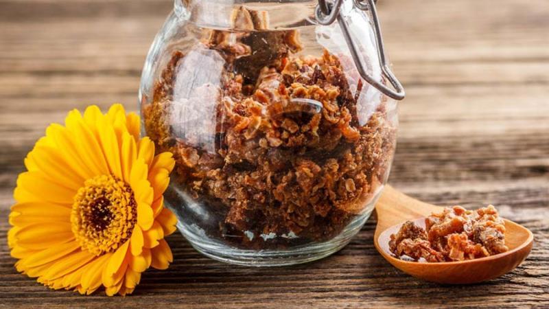 Drogocenny propolis zwany kitem pszczelim