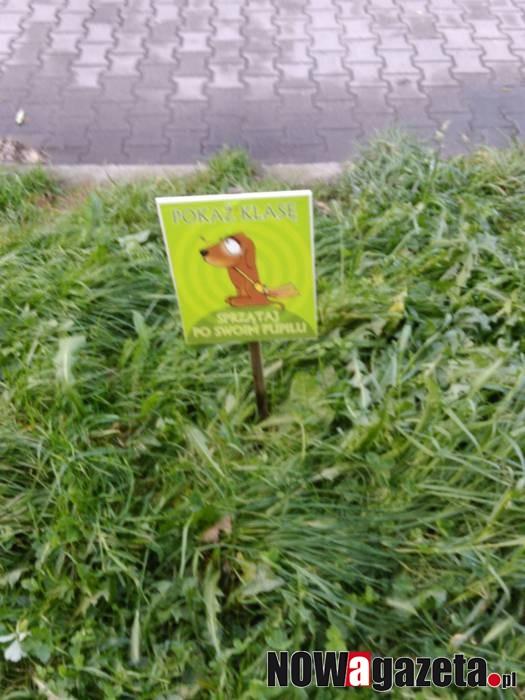 Pokaż klasę, sprzątaj po swoim pupilu
