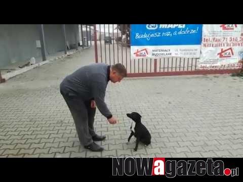 Umie liczyć i zna się na polityce [FILM]