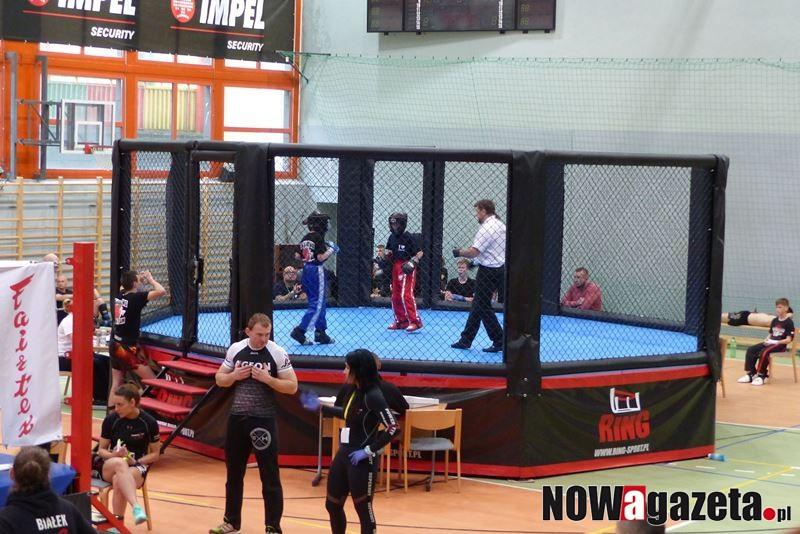 Octagon 