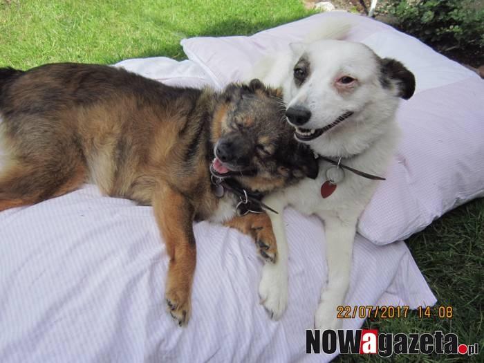 Już jutro rusza II część plebiscytu POCHWAL SIĘ SWOIM ZWIERZAKIEM !