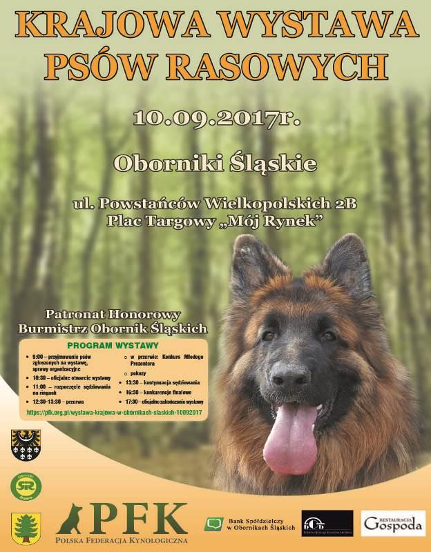 W najbliższą niedzielę w Obornikach Śl. wystawa psów rasowych