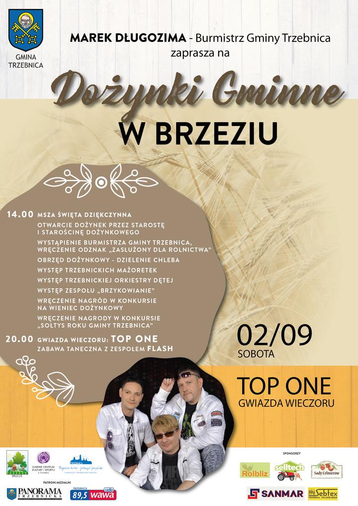 Dożynki Gminne w Brzeziu