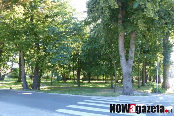 Park przy Podzamczu przejdzie lifting