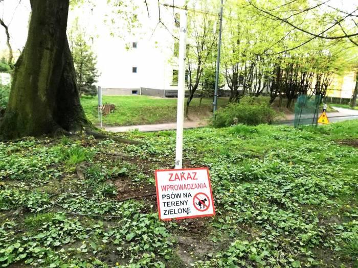 Miła odmiana