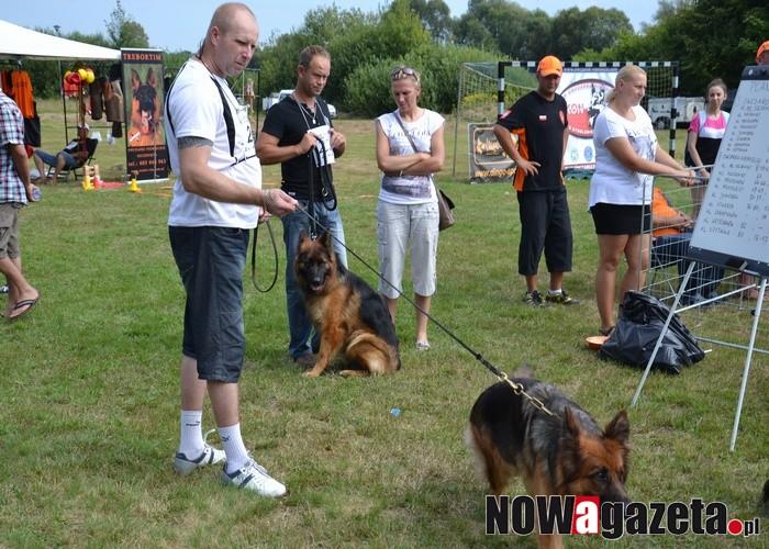 Wystawa owczarków niemieckich w Rudzie Żmigrodzkiej