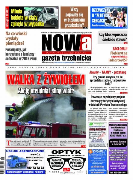 Przegląd wydania nr 29