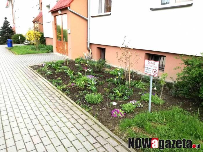 Zakaz wyprowadzania psów niezgodny z prawem?