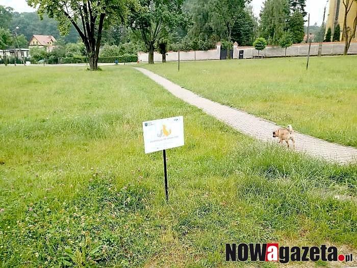 Gmina zachęca do sprzątania po psach