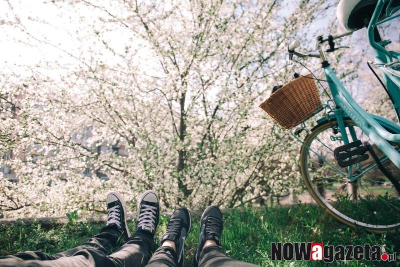 Kolejne dofinansowanie na budowę ścieżek rowerowych dla Żmigrodu