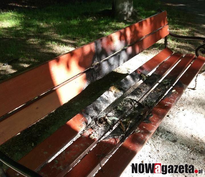 Wandali nie sieją. Sami rosną w Obornikach Śl.